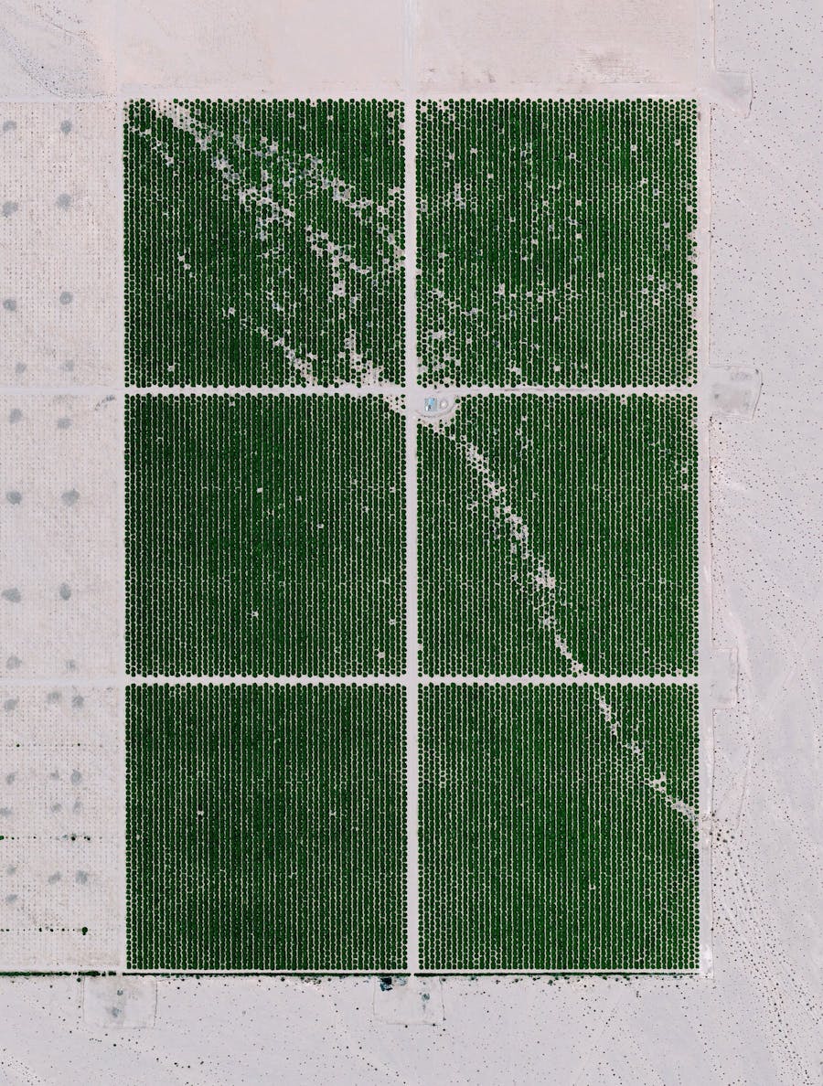 Cadiz Ranch