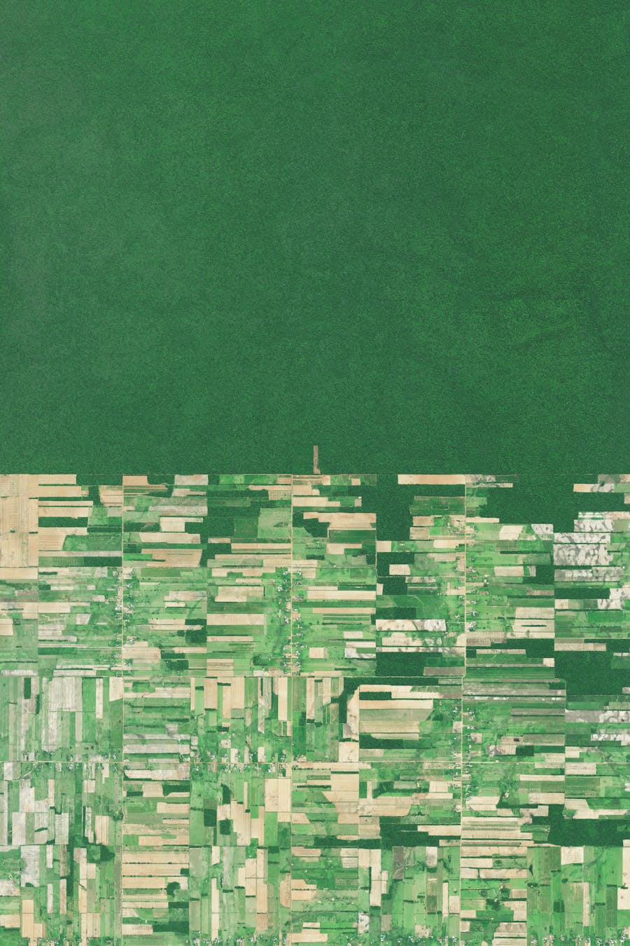 Bolivian Deforestation