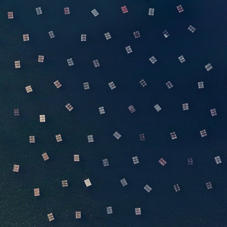 Mussel nurseries