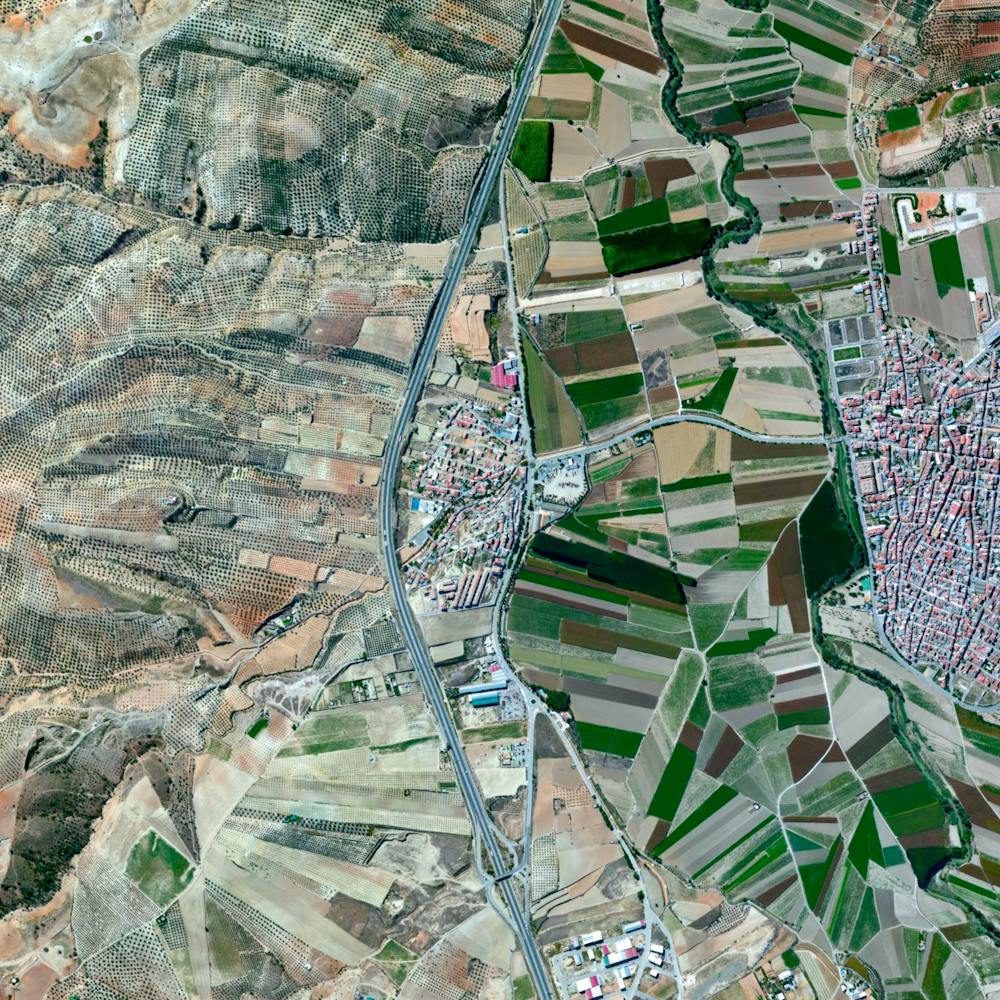 Agricultural development