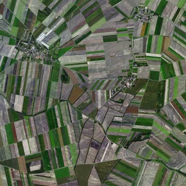 Austrian Fields