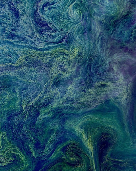 Baltic Algae Bloom