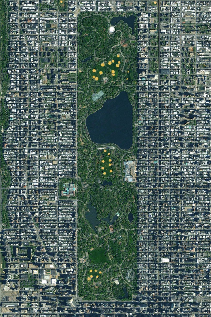 Central Park, New York