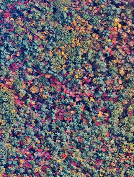 New Hamshpire Fall Foliage