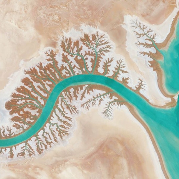 Shadegan Lagoon