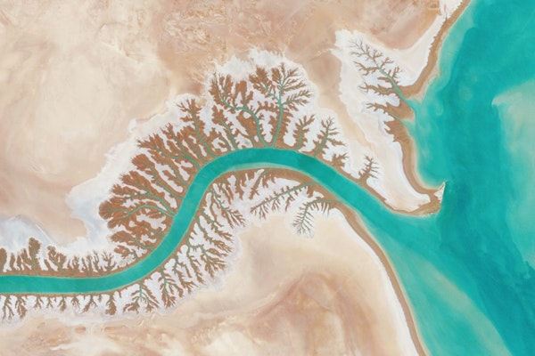 Shadegan Lagoon