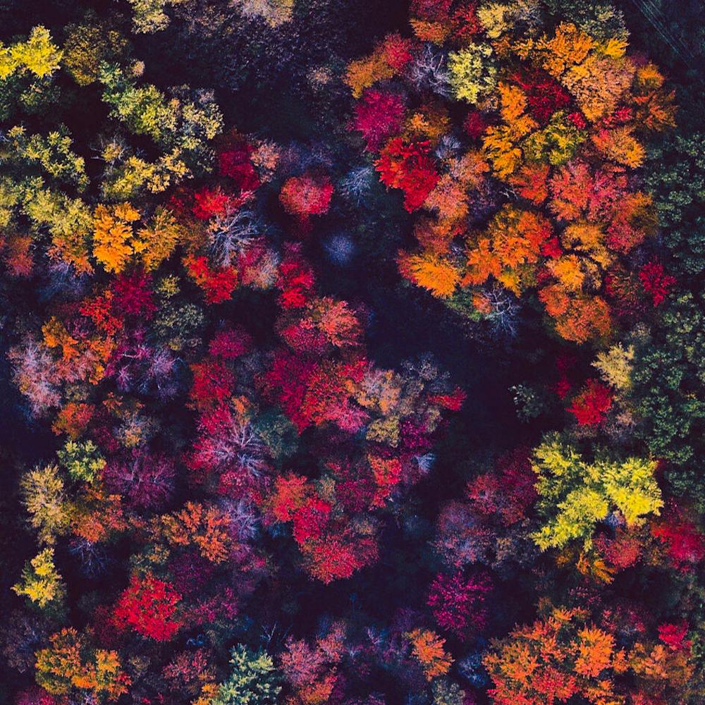 Fall Foliage in Nashua, New Hampshire