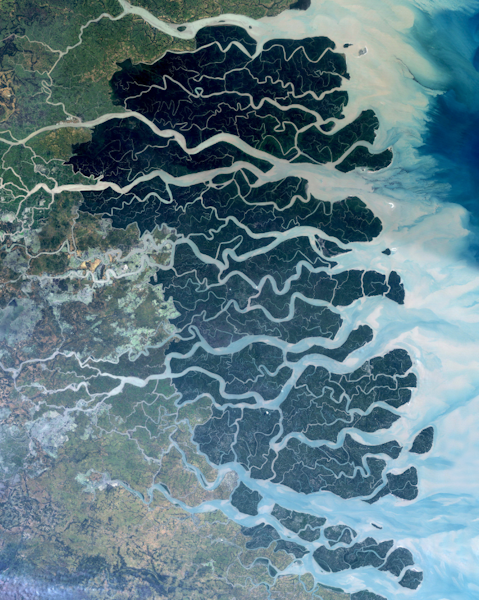 Sundarbans