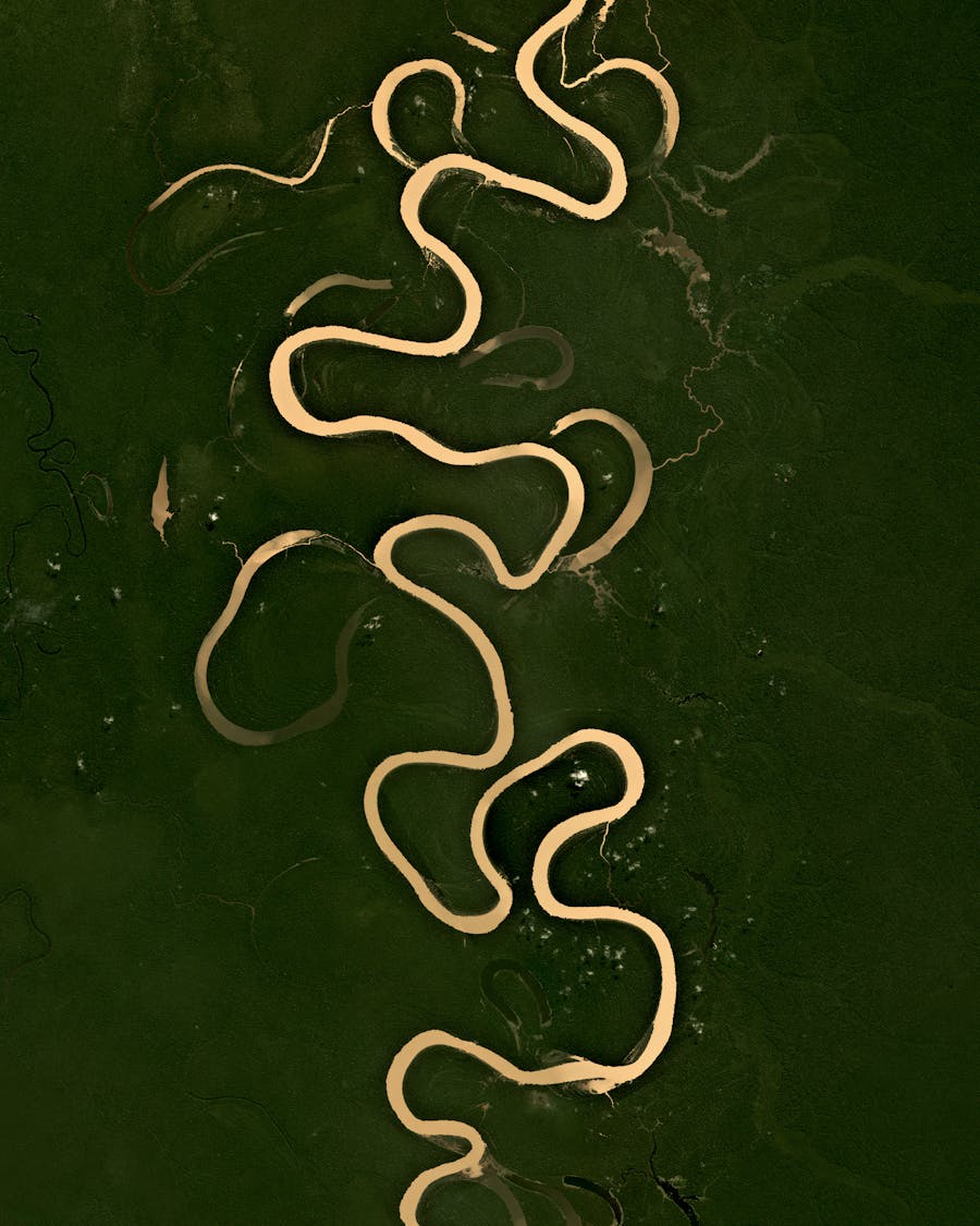 Jurua River