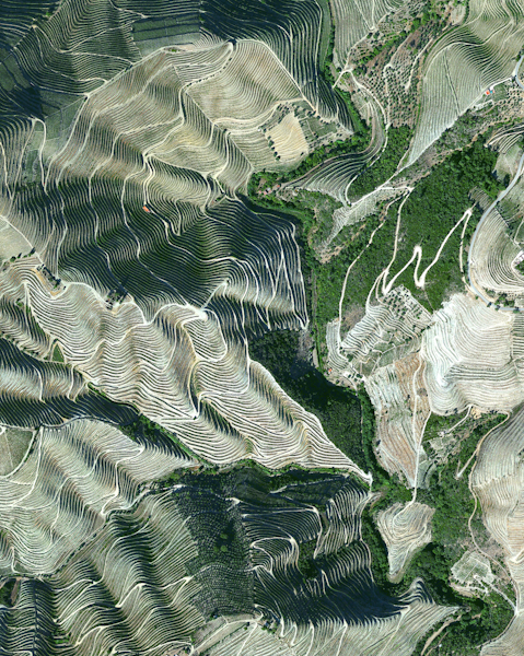Douro Valley Vineyards