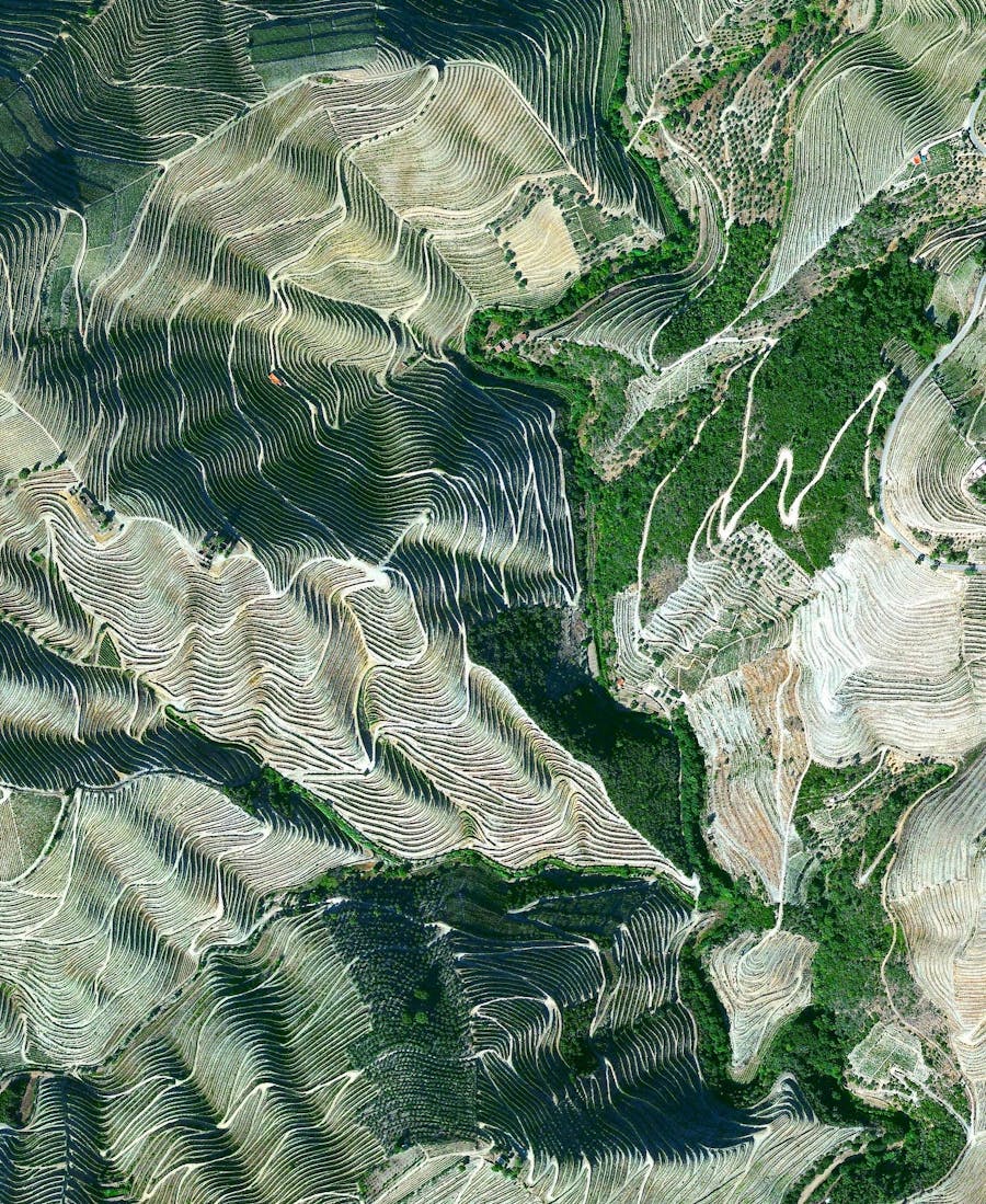 Douro Valley, Portugal