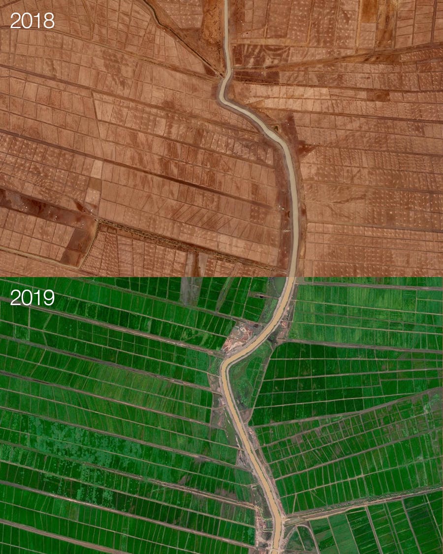 Great Green Wall
