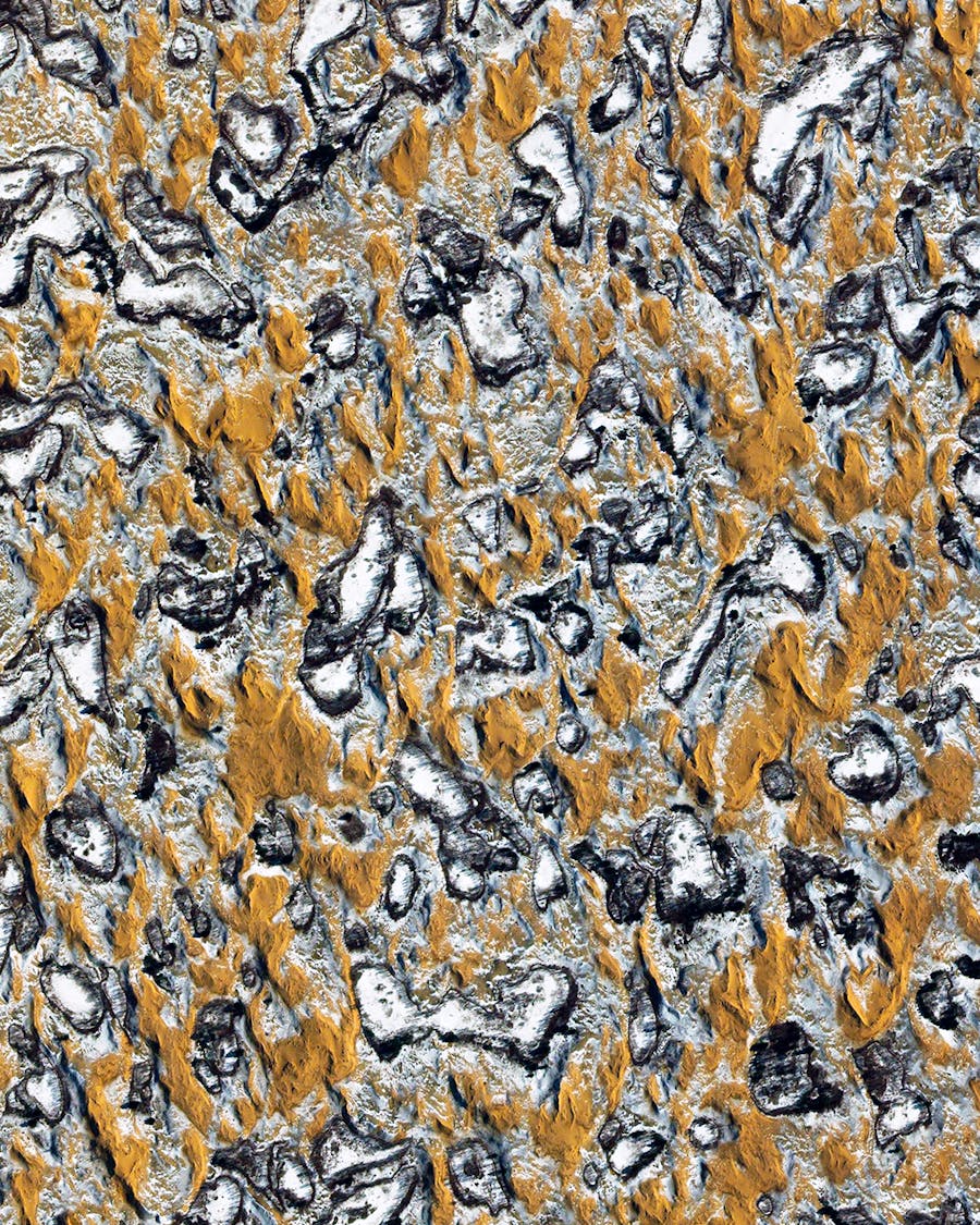Oleshky Sands