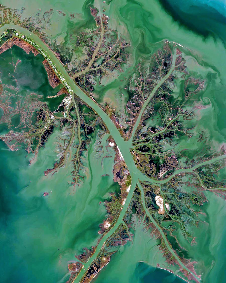 Mississippi River Delta
