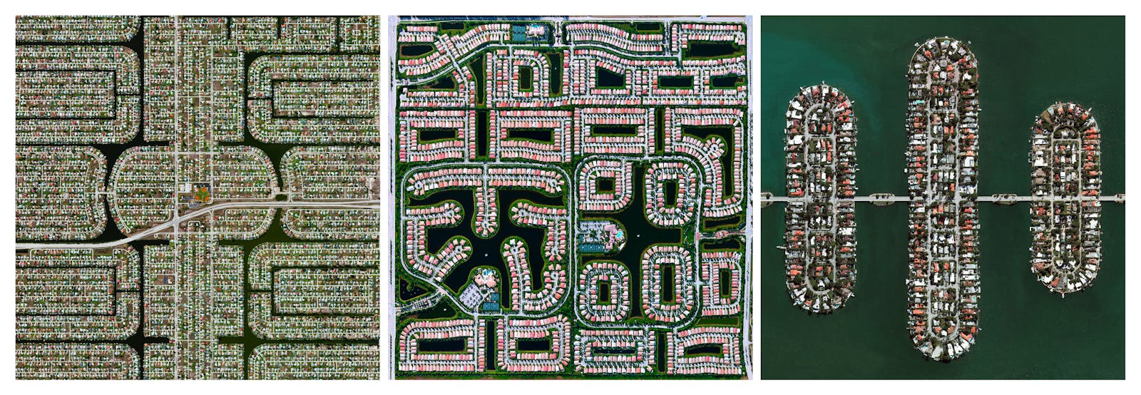 Florida's Aquatic Land Cover