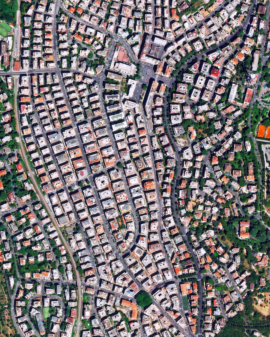 Balduina