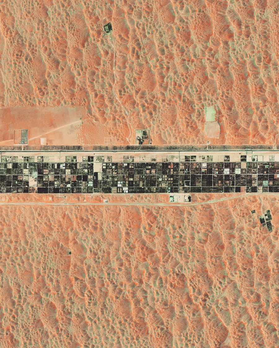 Liwa Oasis