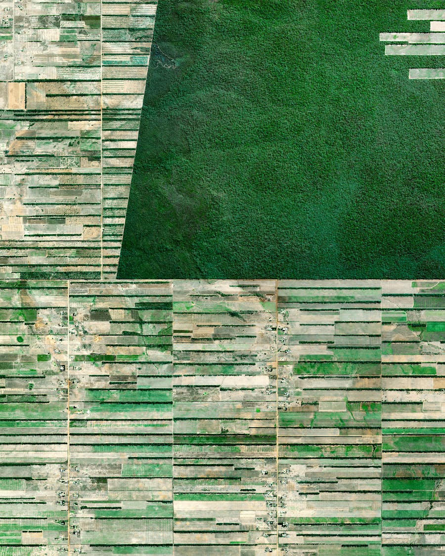 Deforestation in Bolivia