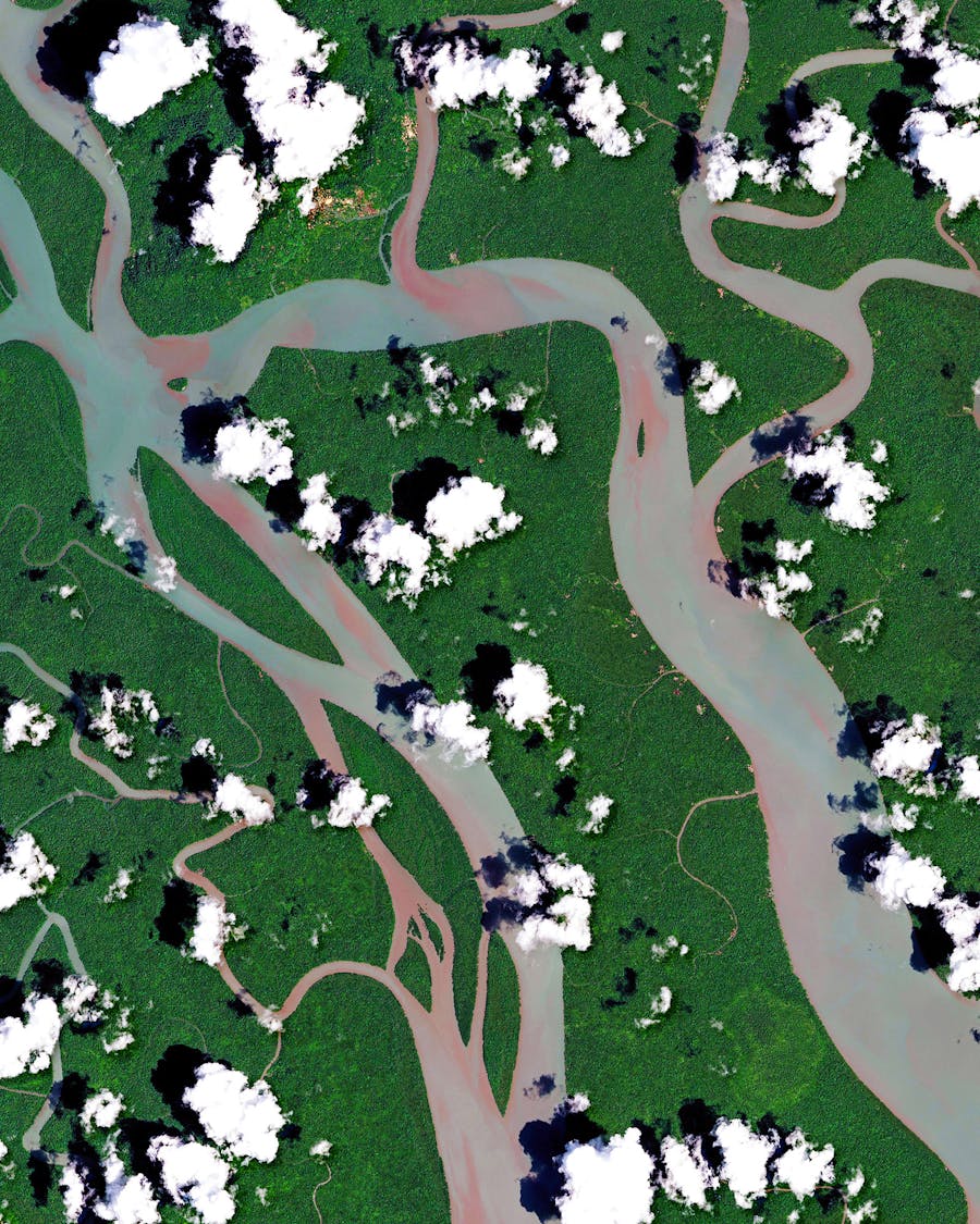 Kikori River Delta