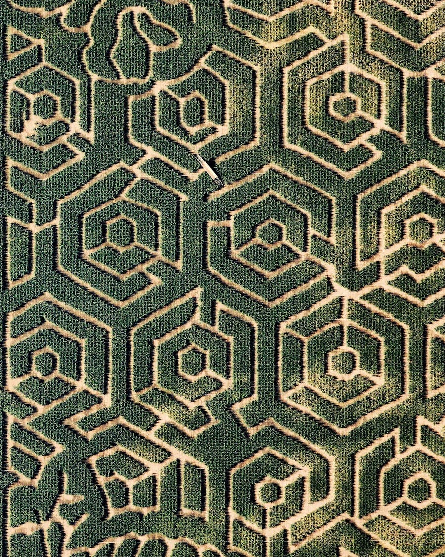 Littleton Corn Maze