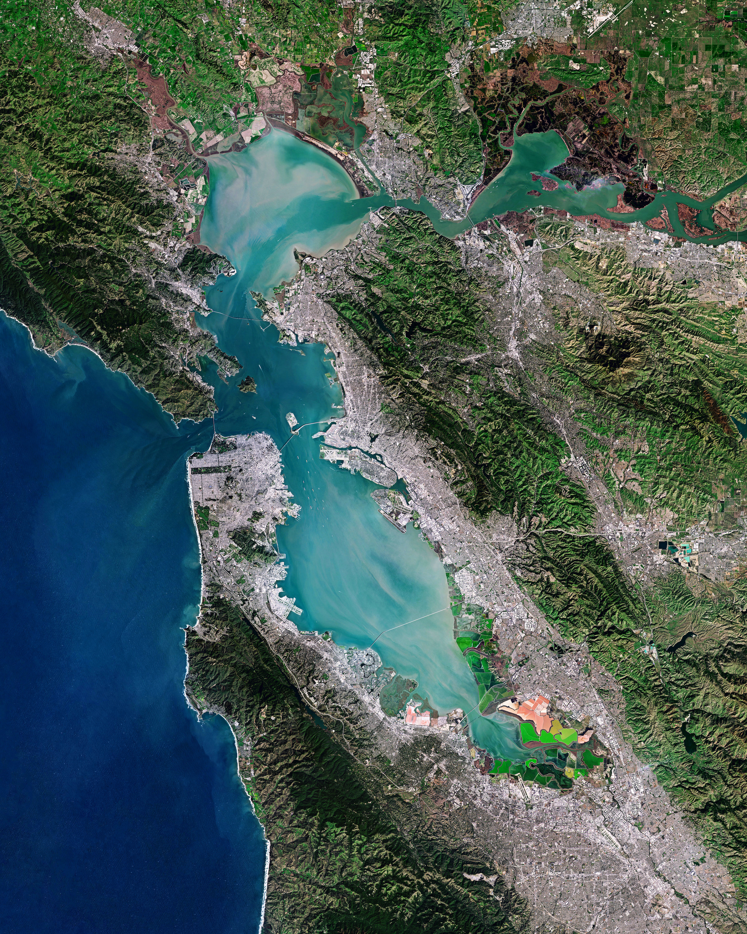 San Francisco Bay 1638474138 24000011 5cf8 4e4d 86b0 367b9f8ad876