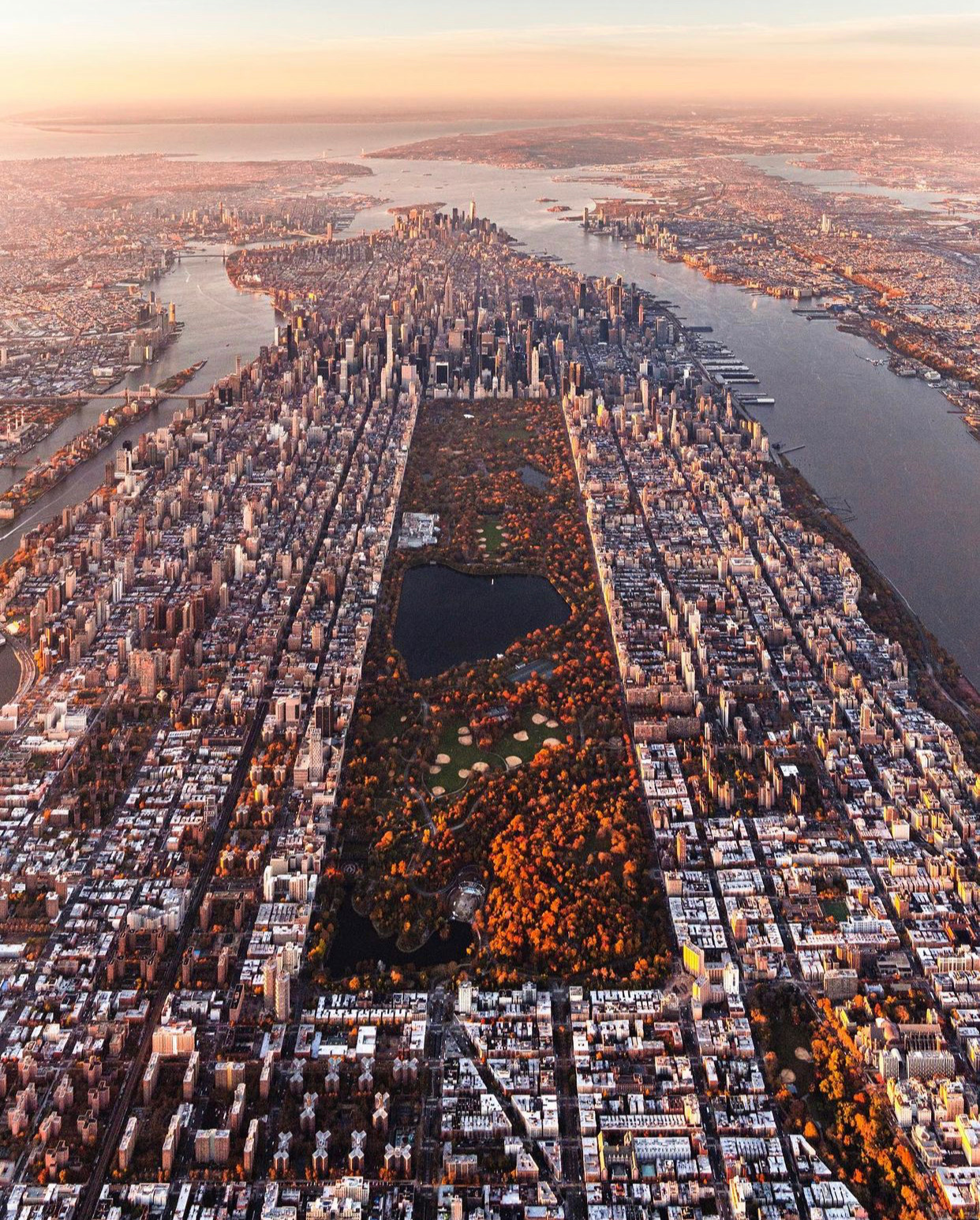 Central Park Foliage