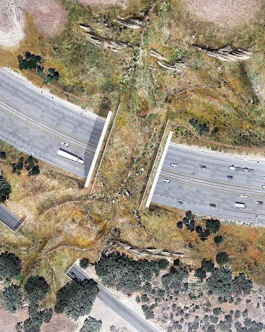 Wallis Annenberg Wildlife Crossing
