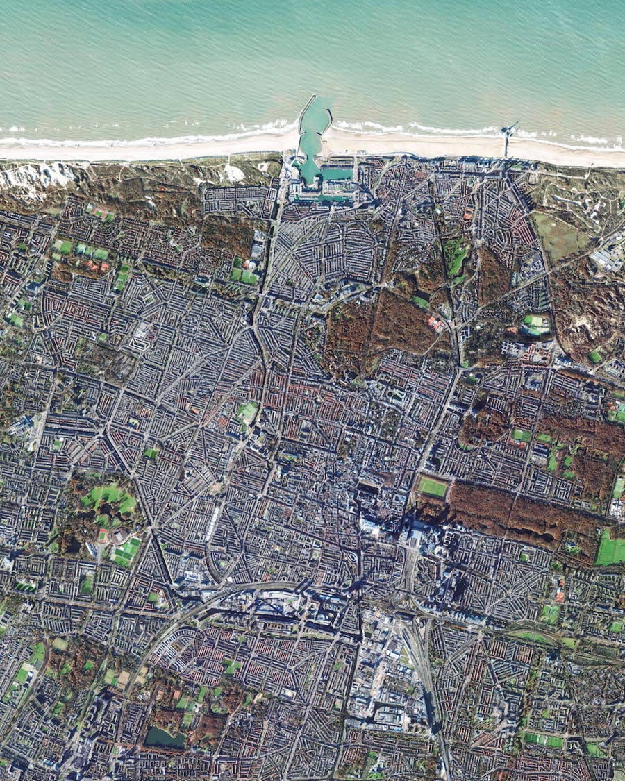 The Hague
