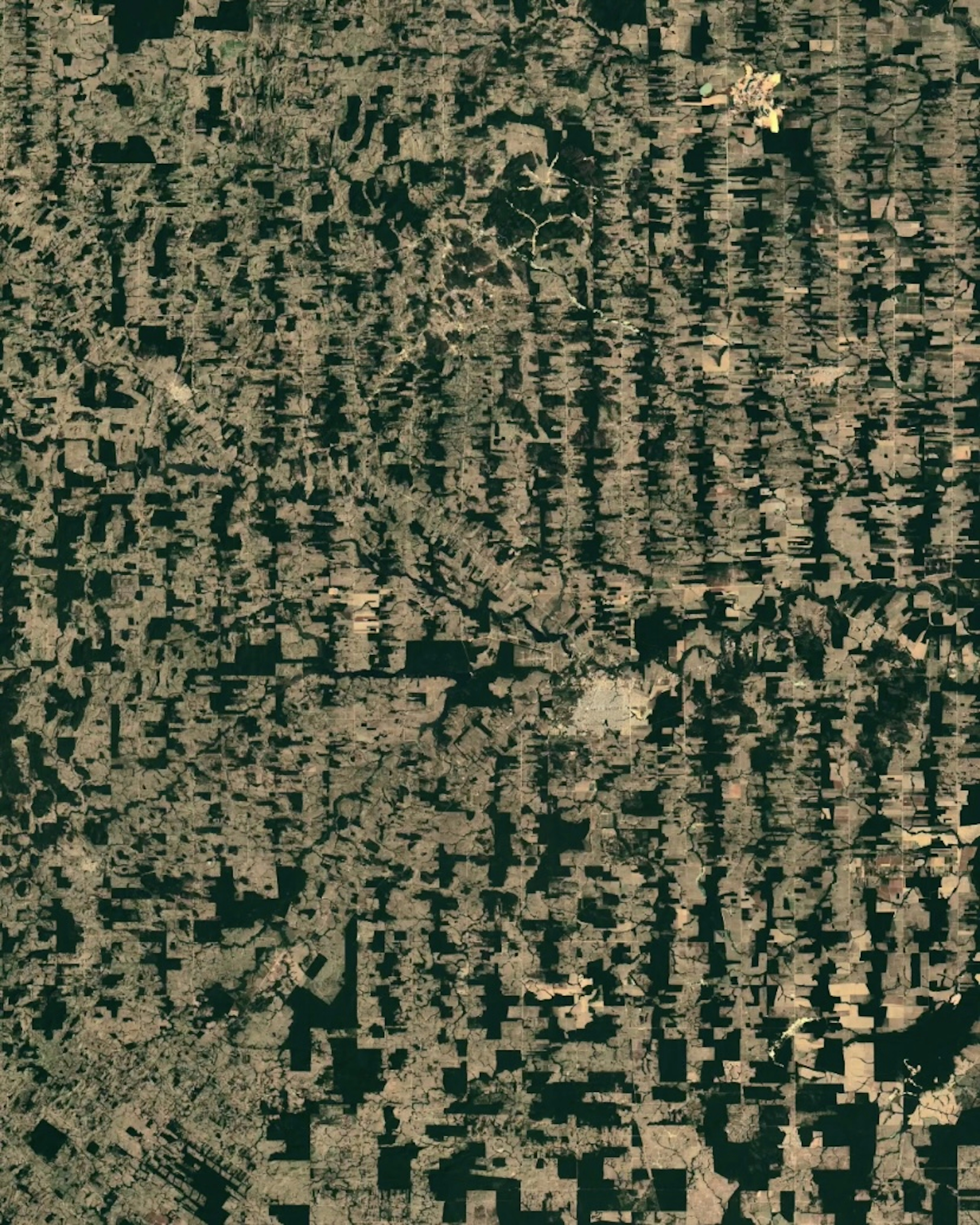 Brazil Deforestation 