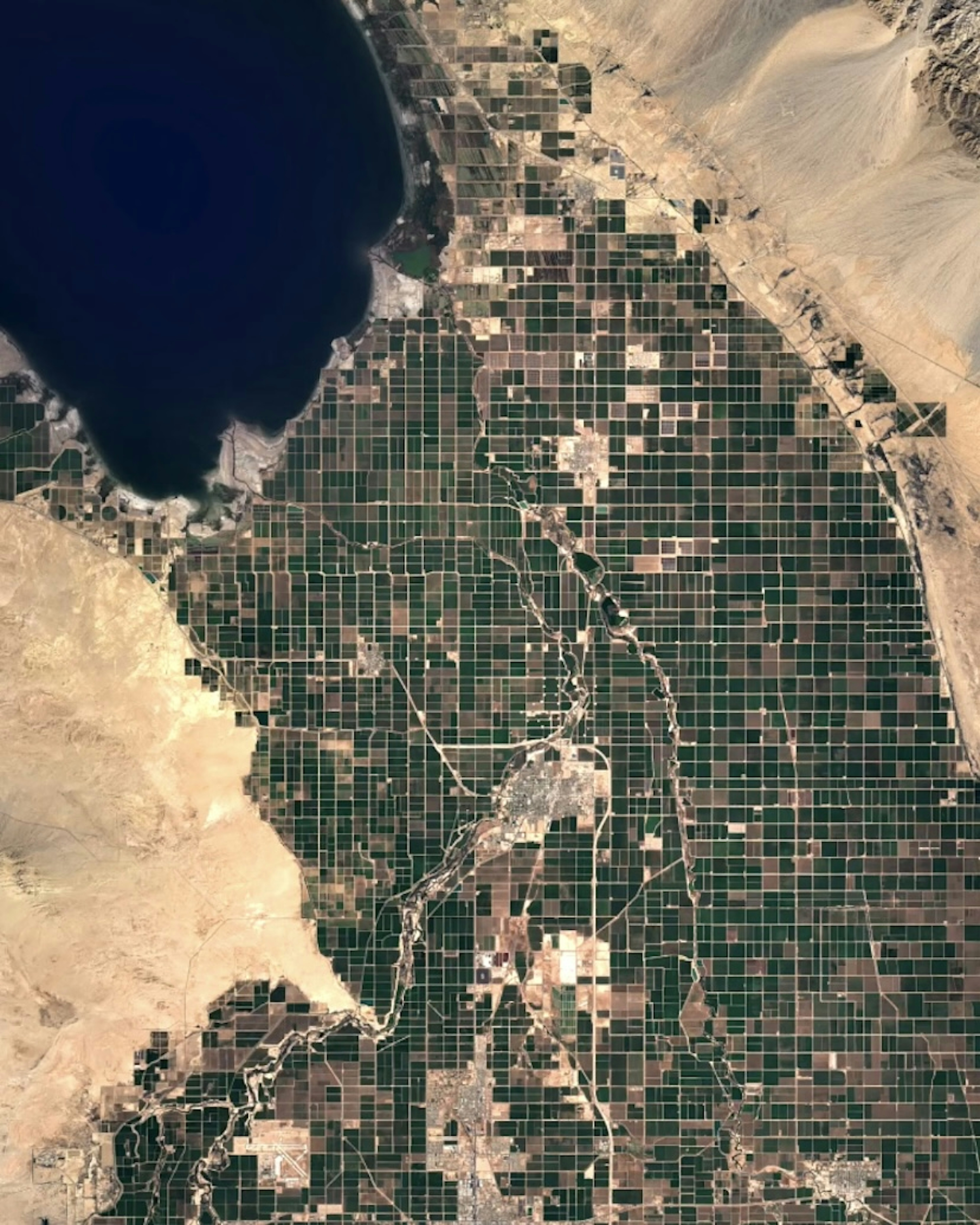 Salton Sea Agriculture 
