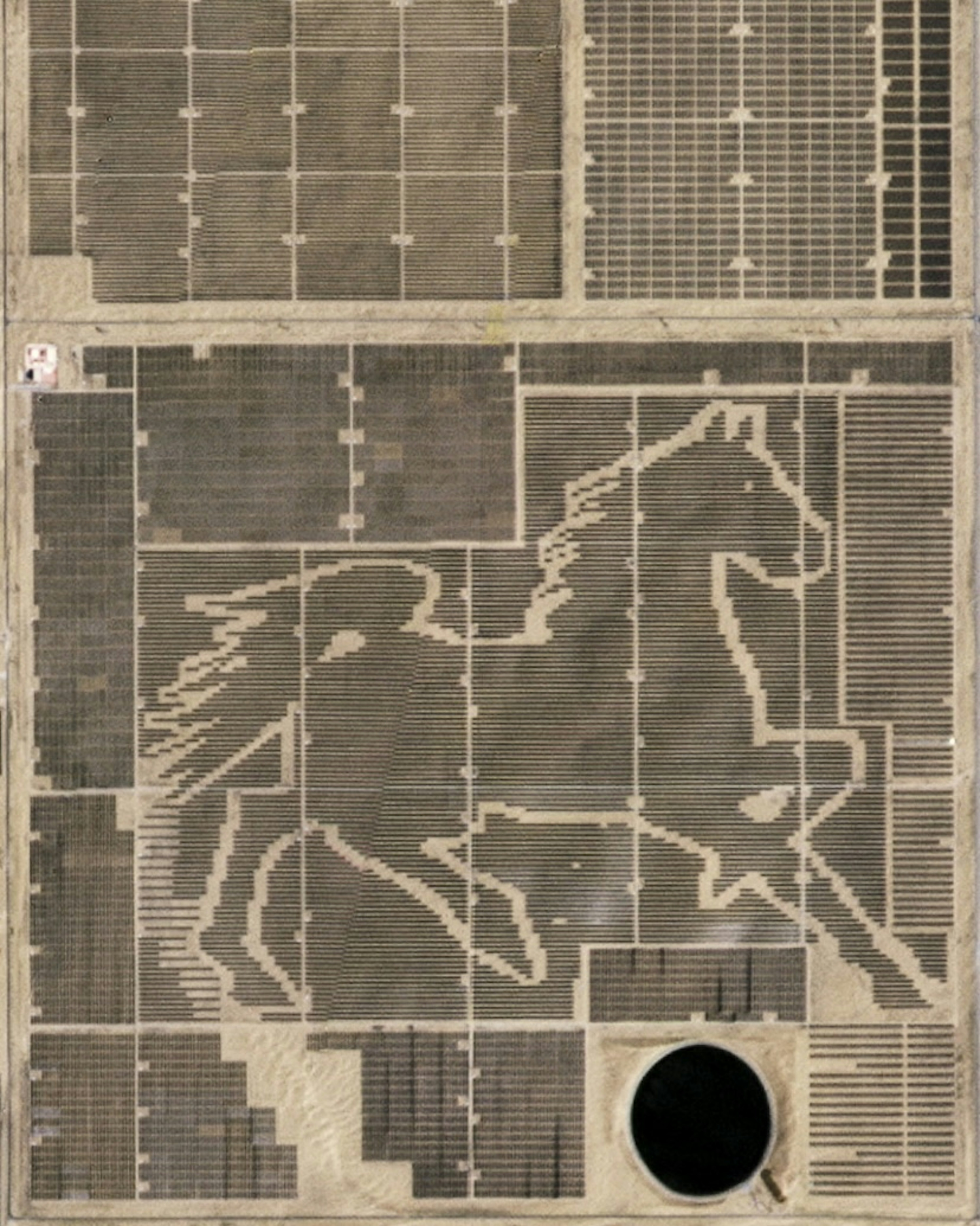 Solar Panel Horse