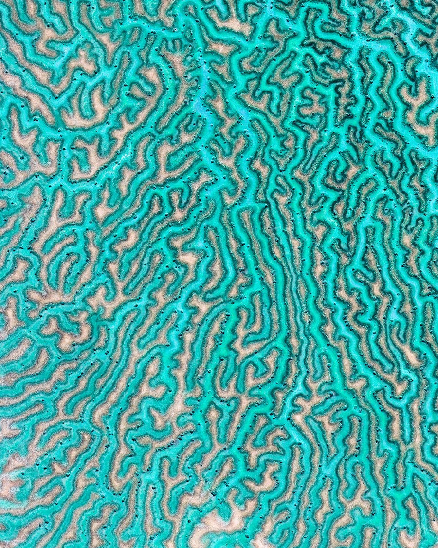 Northern Territory Streams