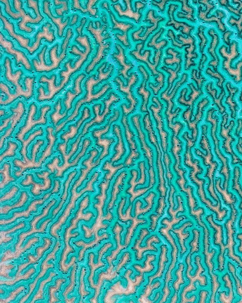 Northern Territory Streams