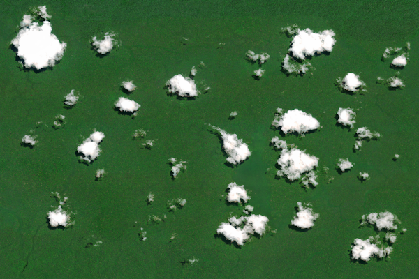 Amazon Rainforest Clouds 