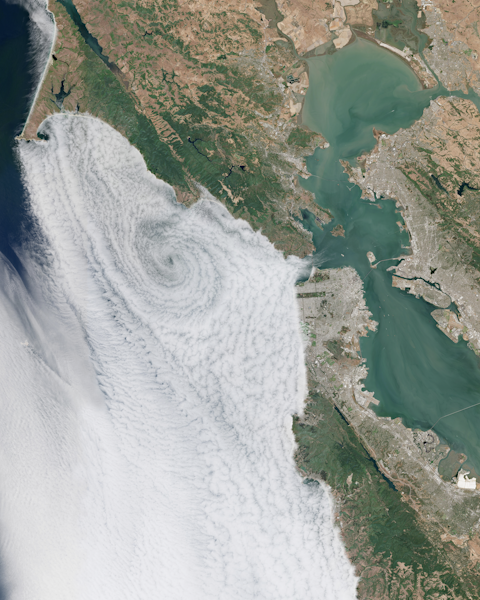 San Francisco Bay Area Fog
