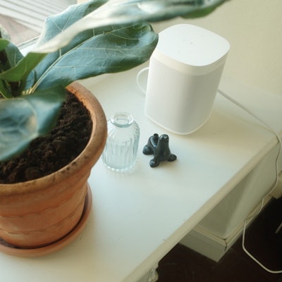 seal sonos plant