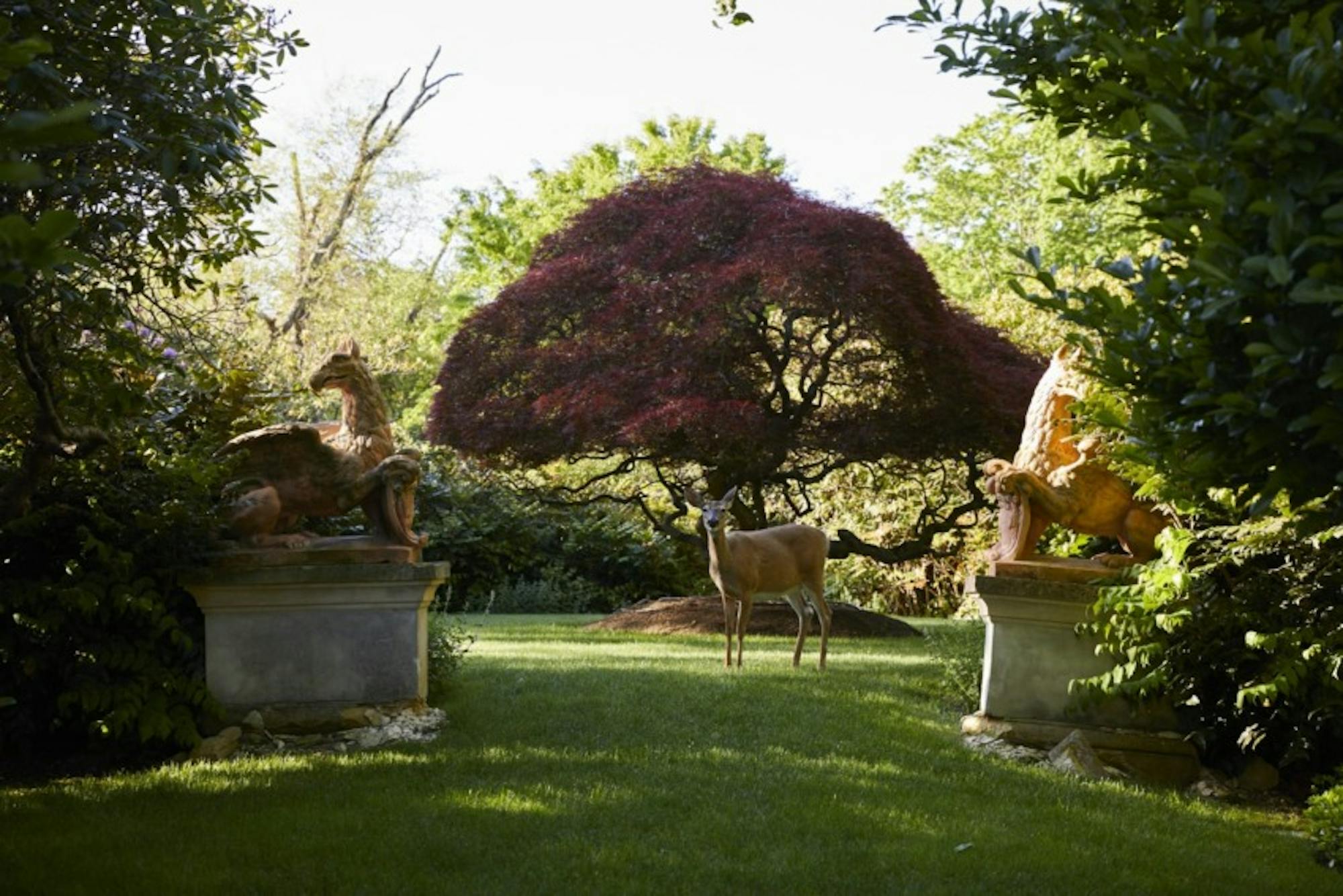 Ingrao Inc, east hampton garden of designers Tony Ingrao and Randy Kemper