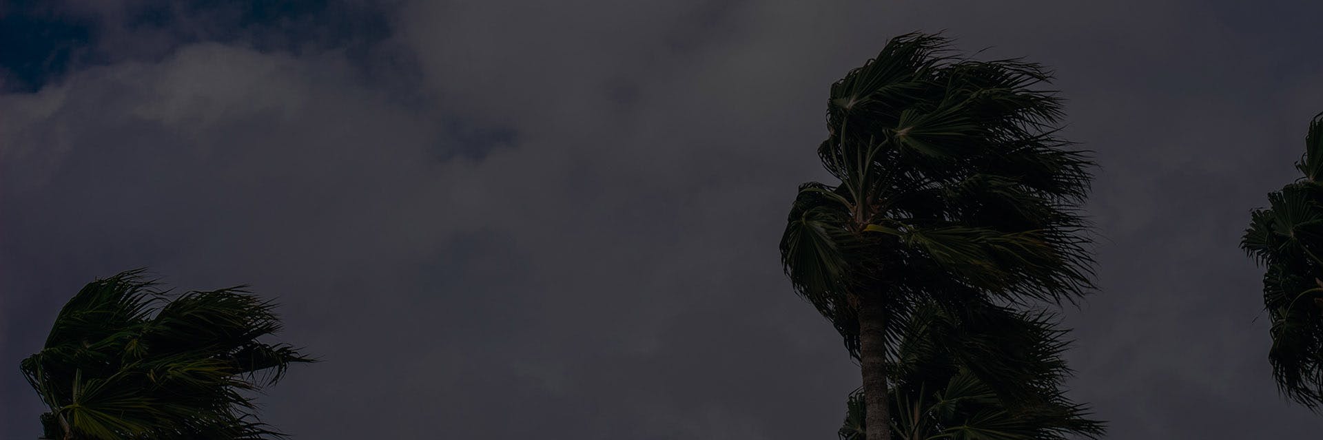 Banner media