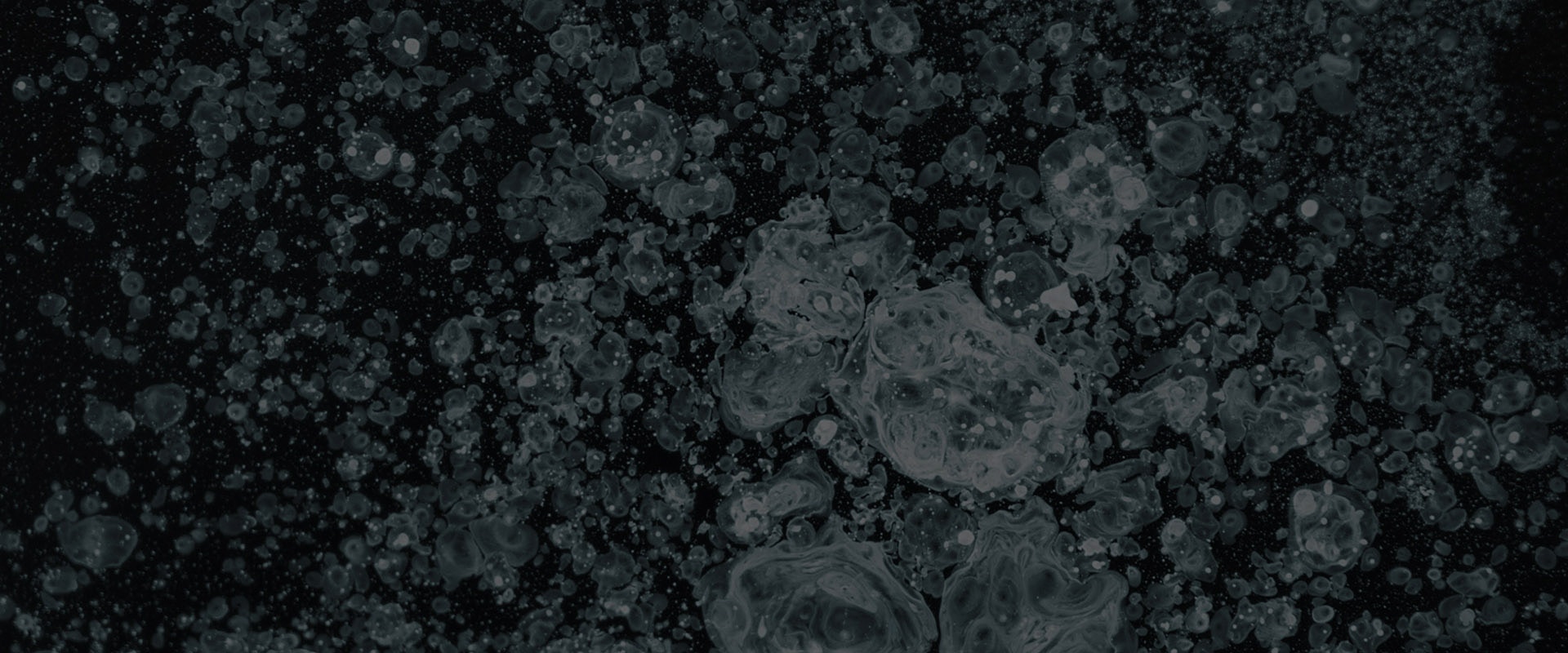 Banner media