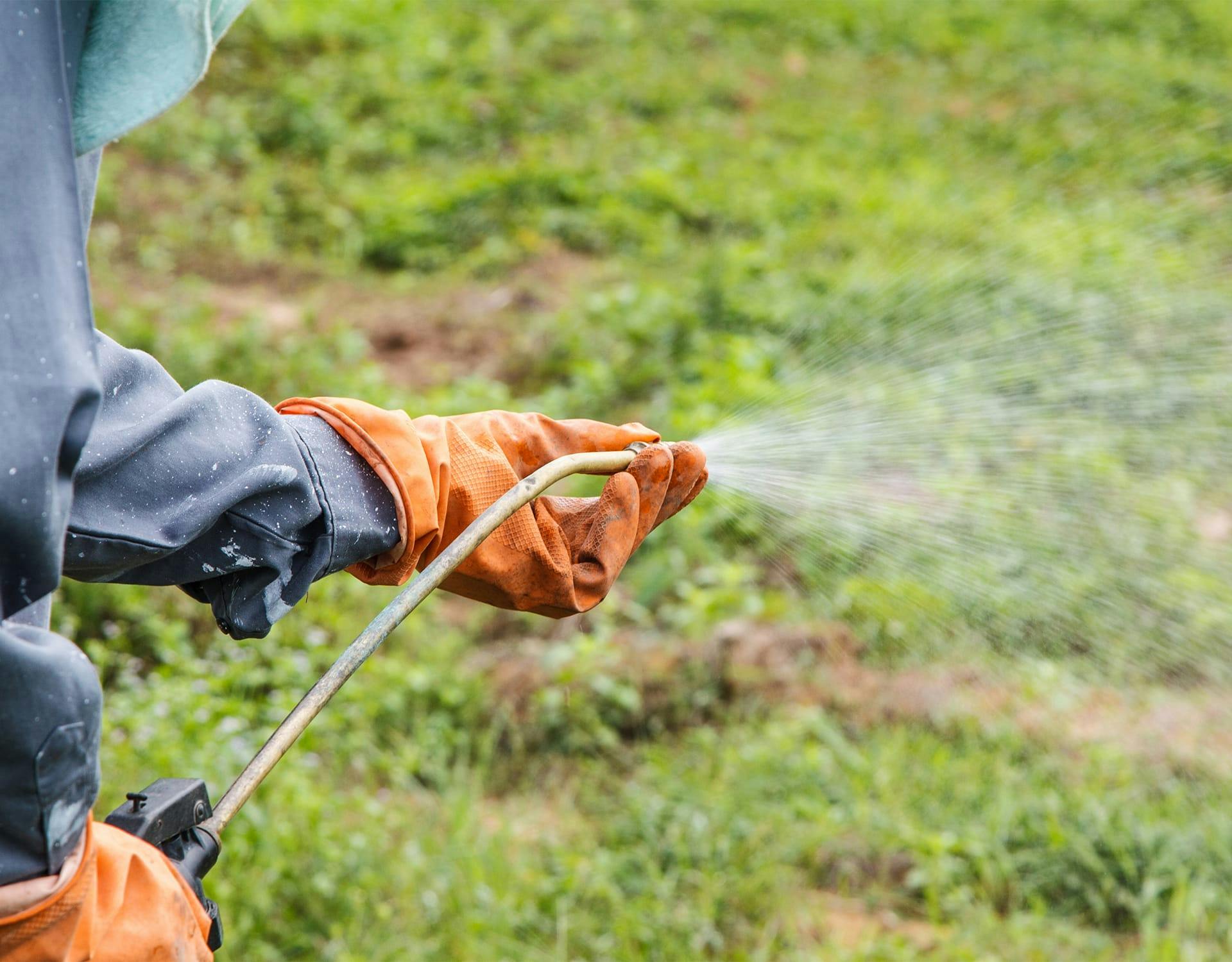 spraying the grass with chemicals