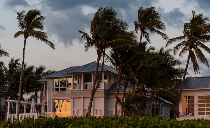 palm trees in front of a beach house being blown in the wind