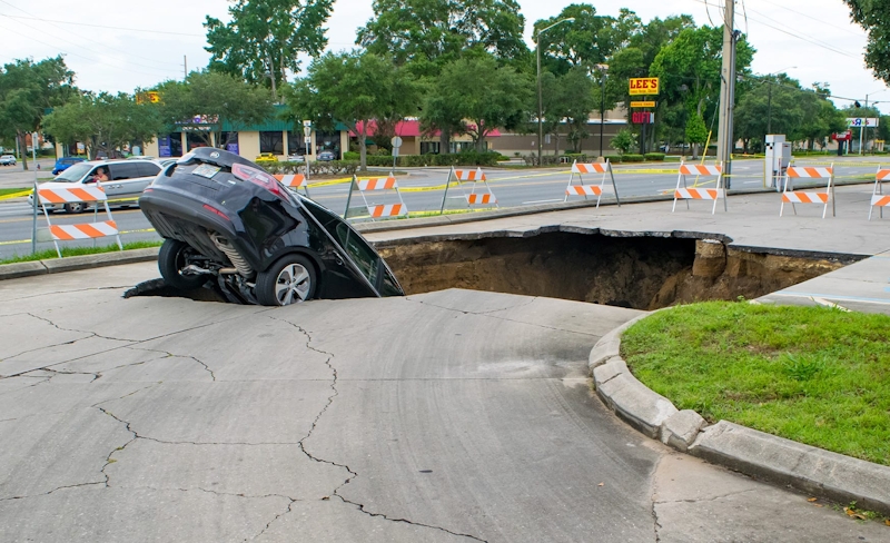 two people looking at a folder