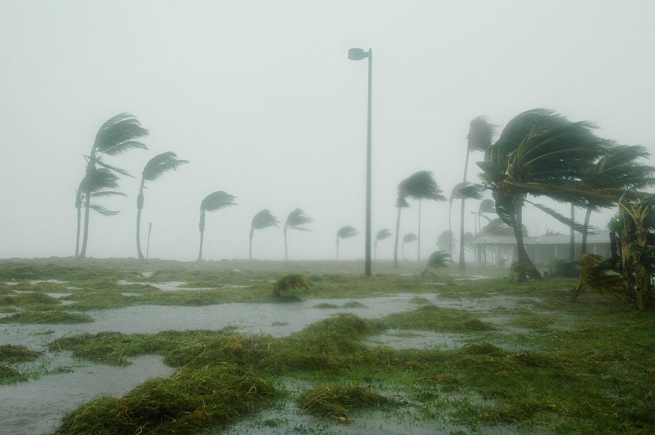 Do you need help filing an insurance claim after Hurricanes Milton and