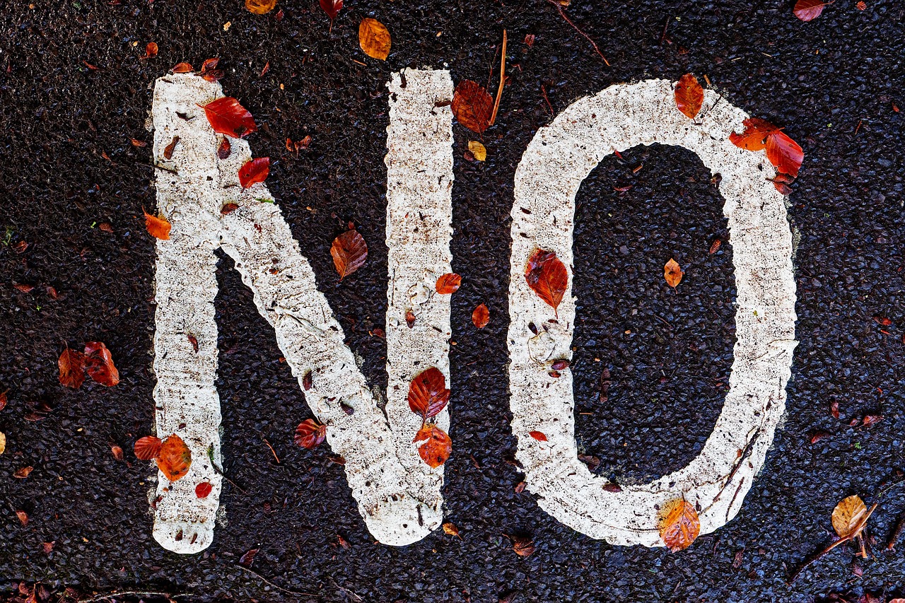 The word "NO" painted on pavement with fallen autumn leaves.