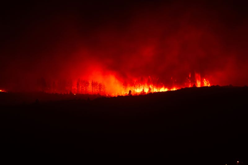 Large wildfire burning through a forest at night with bright flames and heavy smoke.