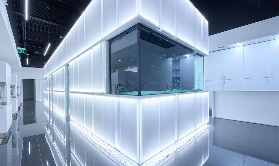 Sinada Dental office