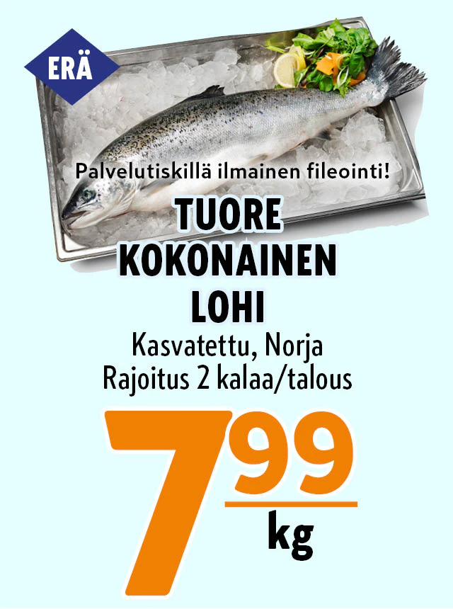 lohi
