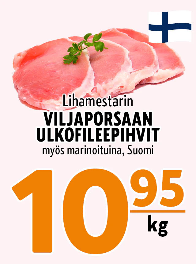 ulkofileepihvit