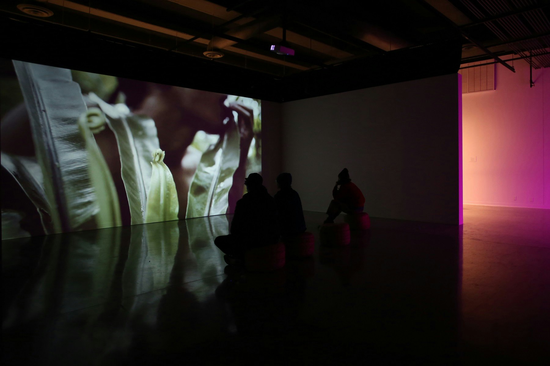 上海纽约大学当代艺术中心 档案