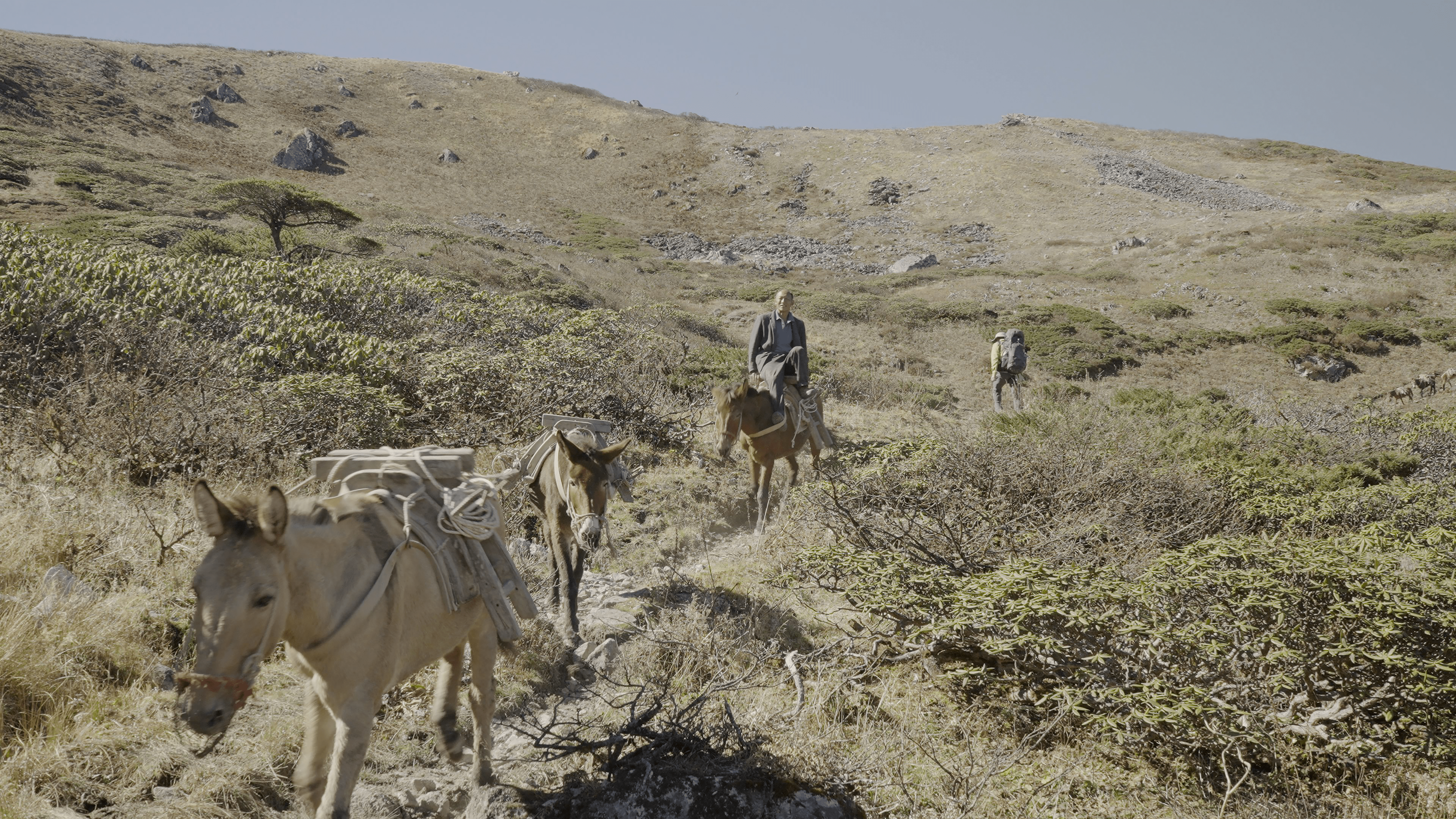 Walking China: Stories yet to be told